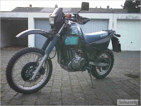 DR650