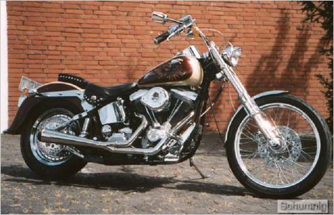 FXSTC Softail Custom